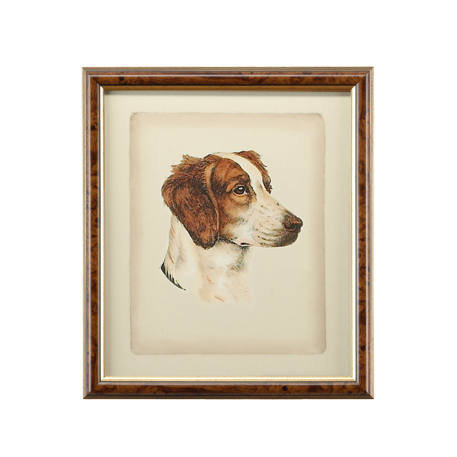 Danchin Brittany Spaniel