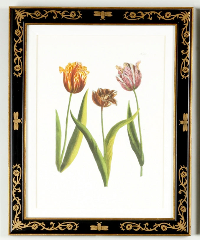 Tulip/Dec.frame(988)