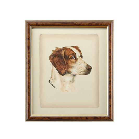 Danchin Brittany Spaniel
