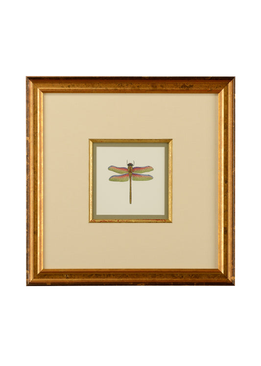 Miniature Dragonfly III