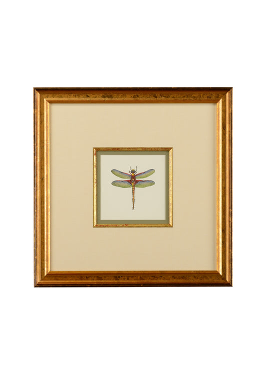 Miniature Dragonfly IV