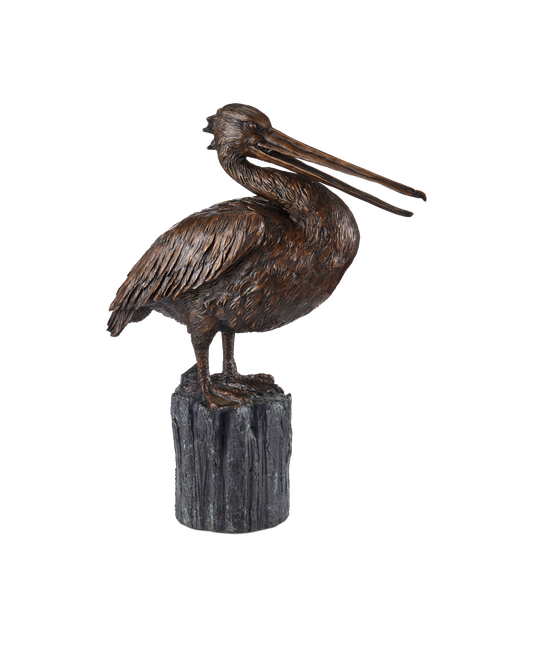 Pelican Bronze