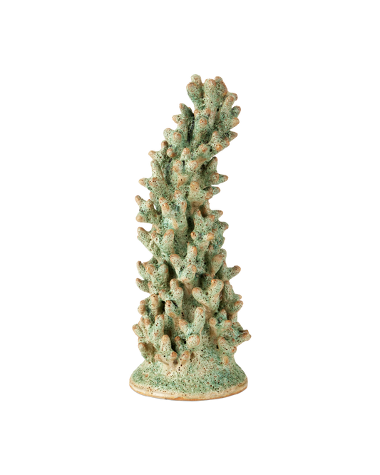 Staghorn Green Coral Object