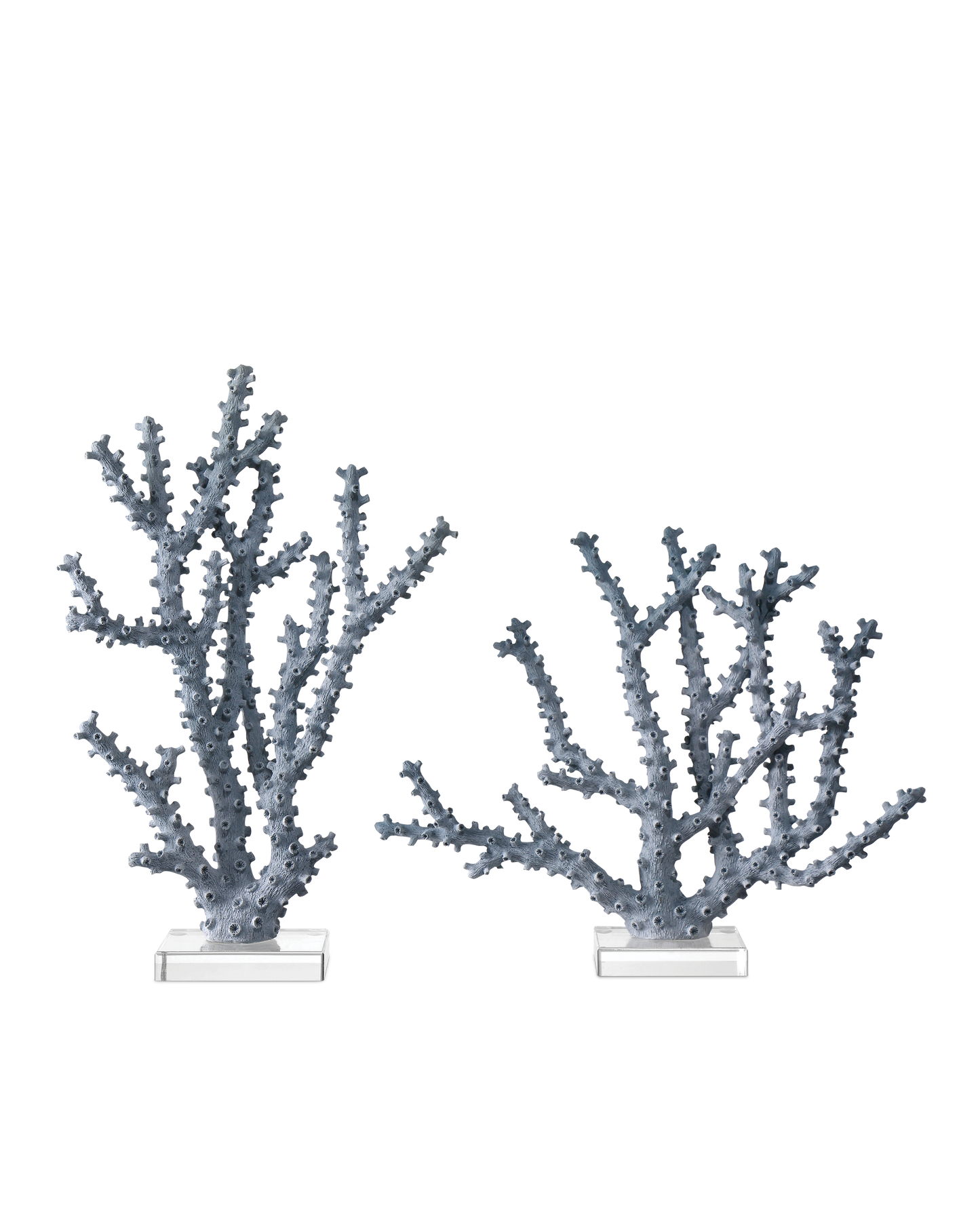 Blue Coral Set of 2