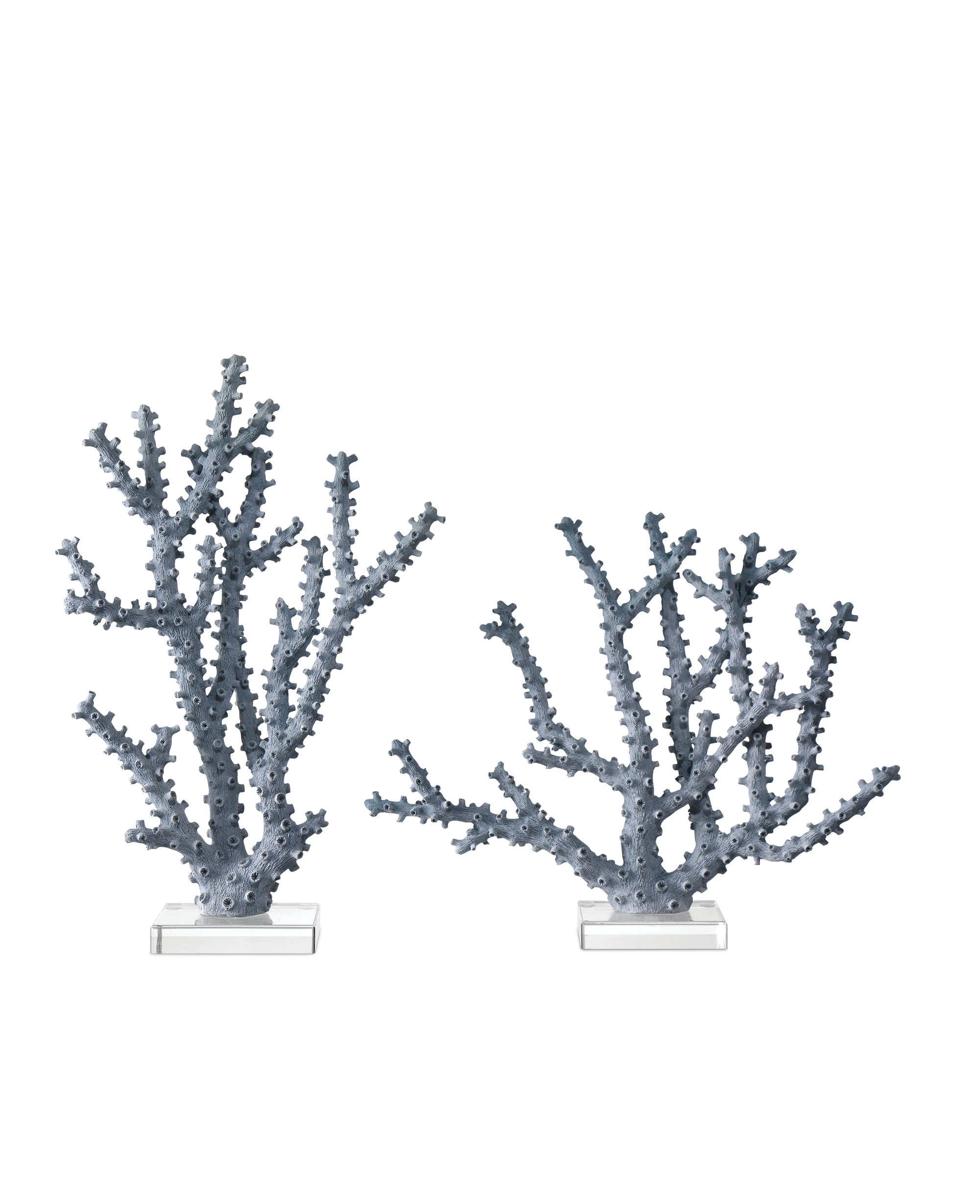 Blue Coral Set of 2