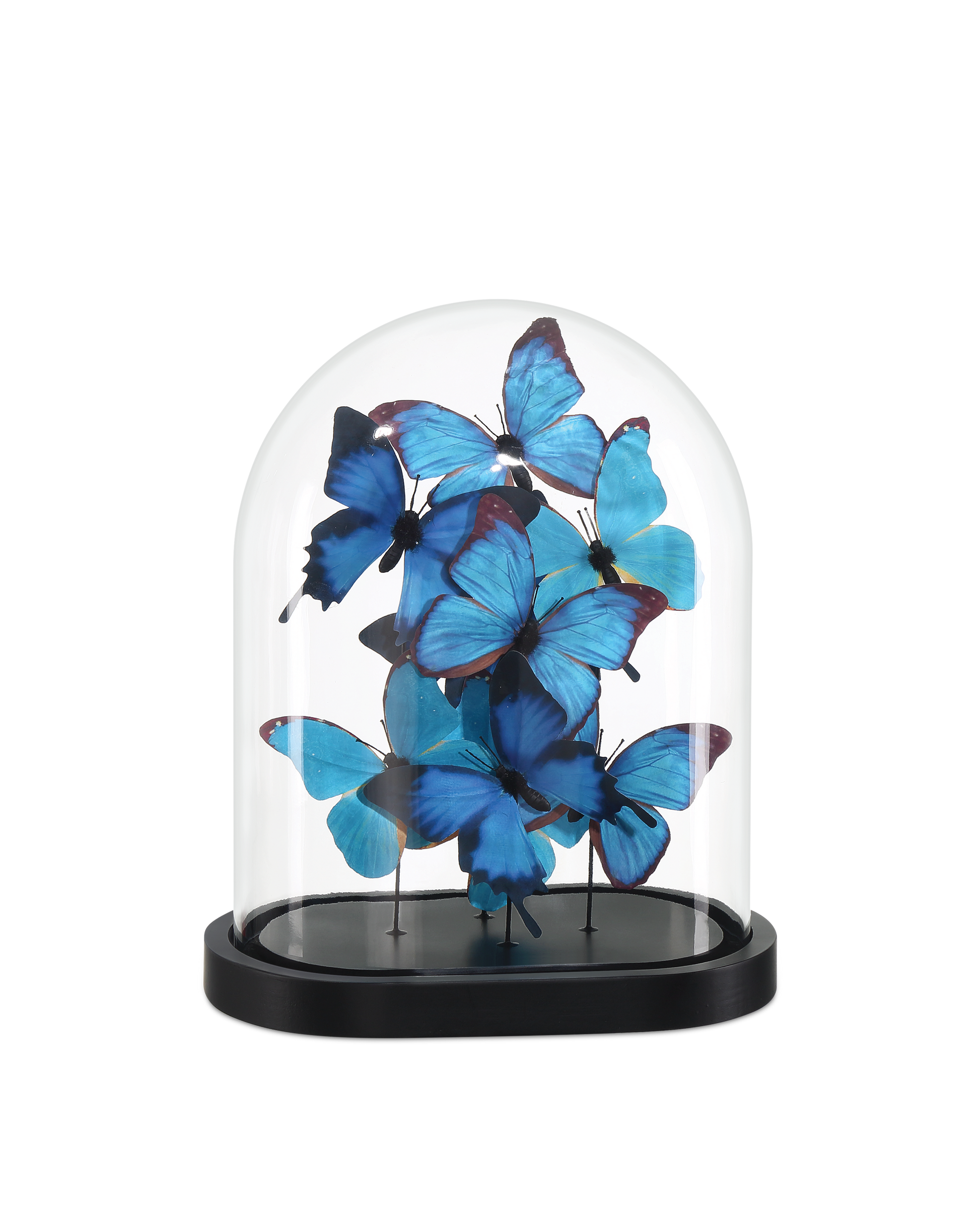 Rue de Bac Blue Medium Butterflies