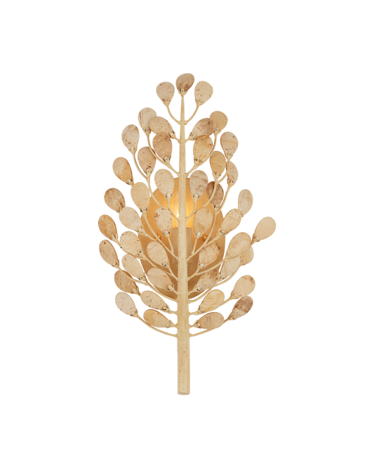 Maypan Wall Sconce