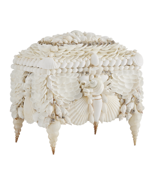 Boardwalk White Shell Jewelry Box